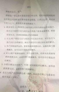 浮力国产第一页,揭秘行业先锋的崛起之路